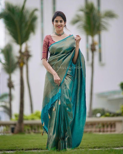 Festive silk saree