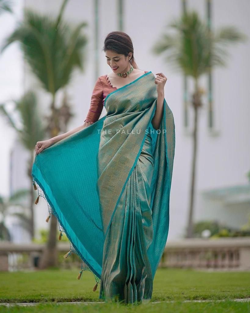 Festive silk saree