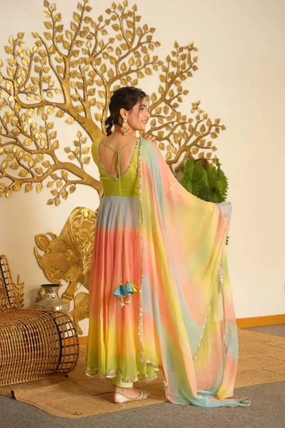 Multycolour Anarkali Suite Set For Womens