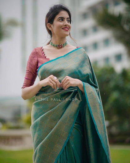 Festive silk saree