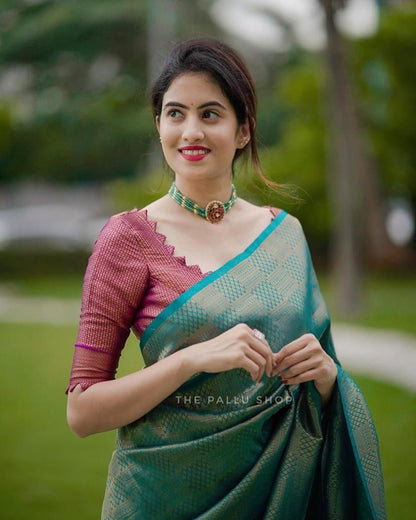 Festive silk saree